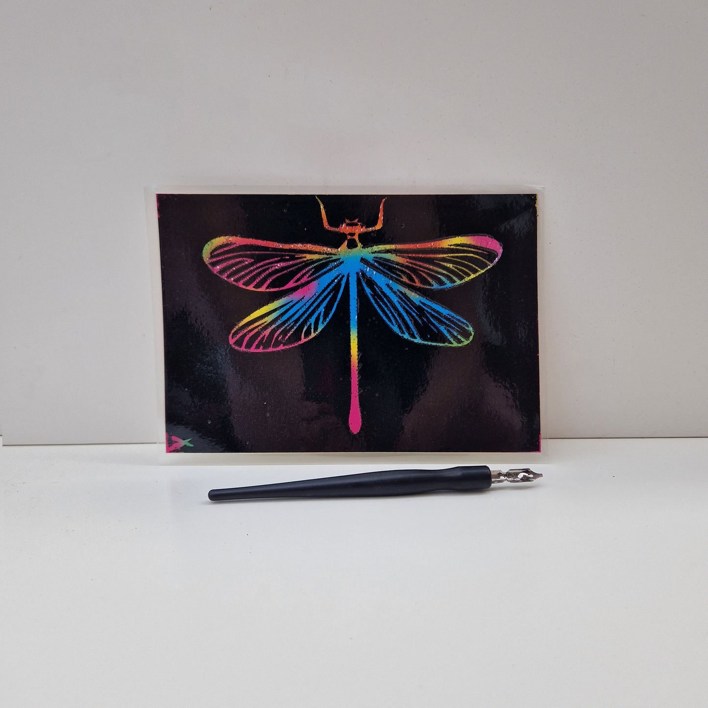 dragonfly prints insects prints uk