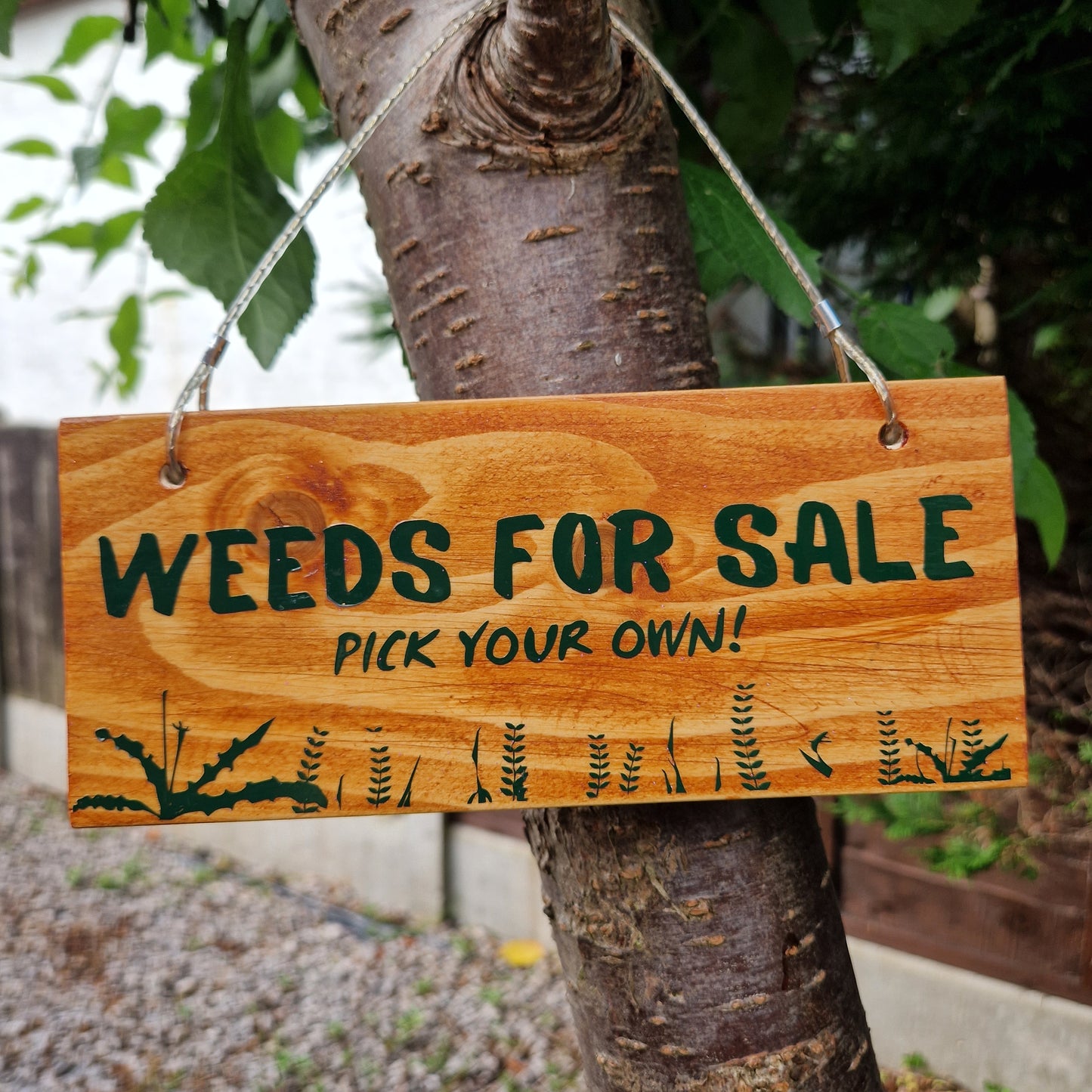 outdoor garden decorations weeds for sale pick your own