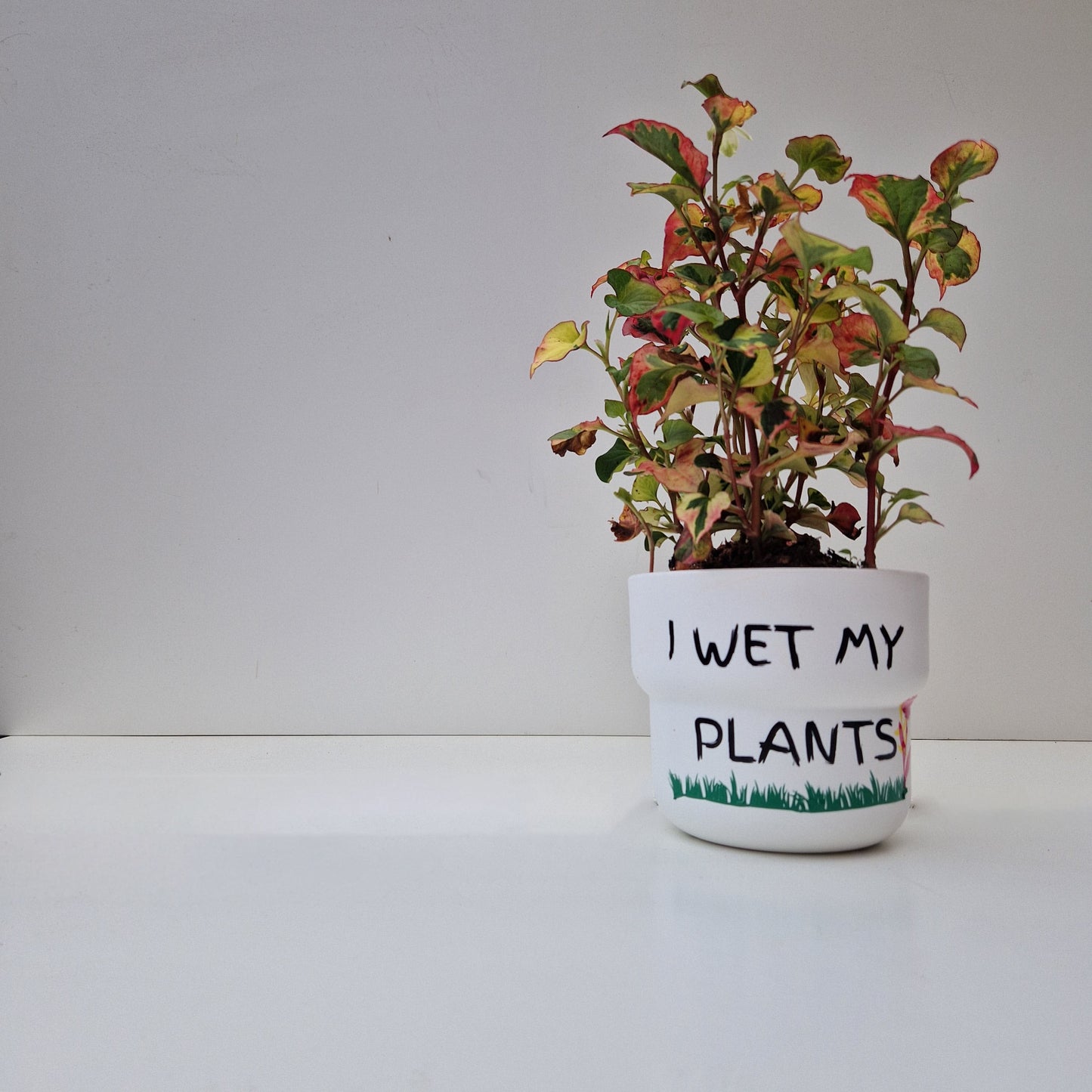 funny plant pots i wet my plants plastic plant pot uk