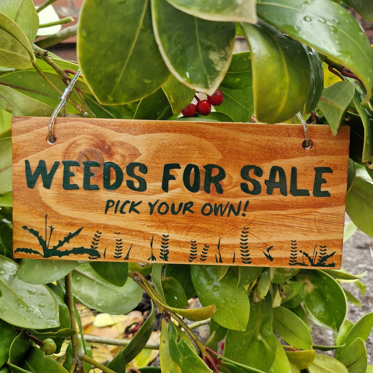 small garden gifts uk weeds for sale pick your own